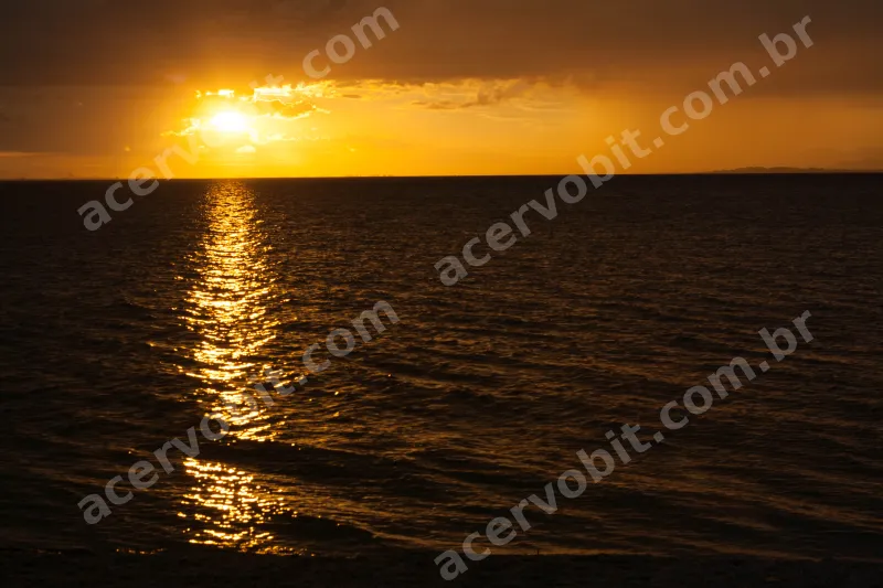 Foto8